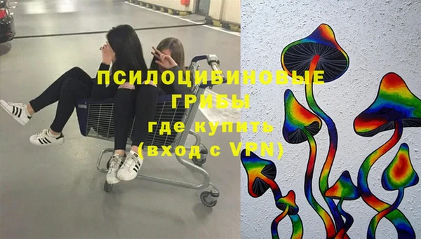 Альфа ПВП Осташков