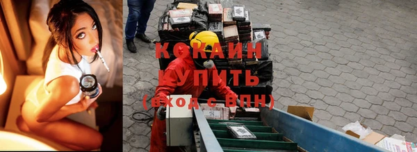 spice Осинники