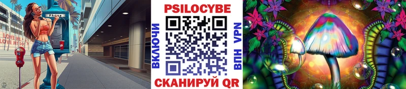 Галлюциногенные грибы Psilocybe  blacksprut маркетплейс  Задонск 